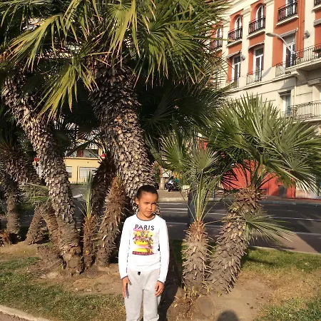 Coconut Отель типа 